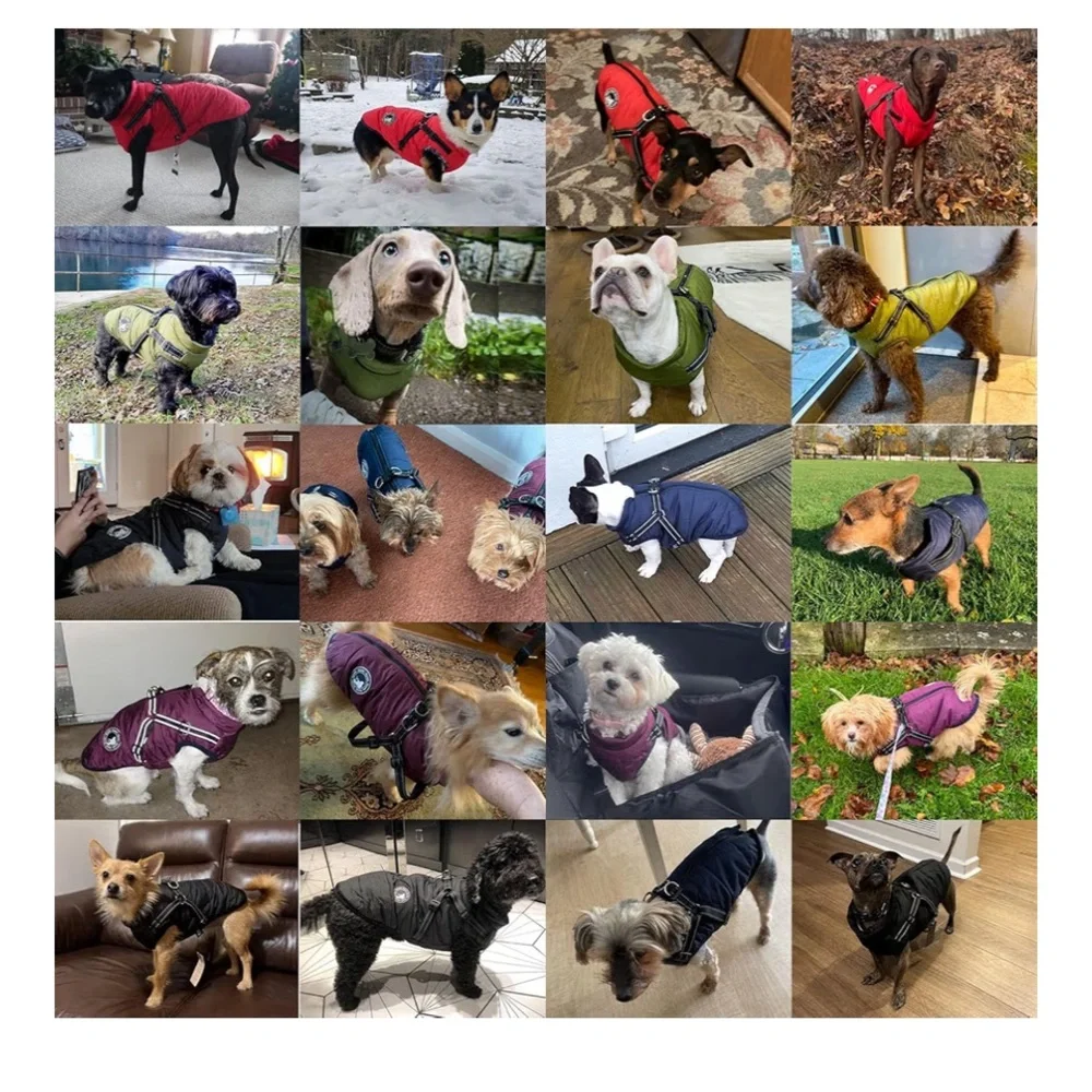 New Gyuch Winter Red Dog jacket with harness winter waterproof size small - Picture 4 of 12